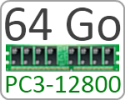 RAM PC3-12800 64Go